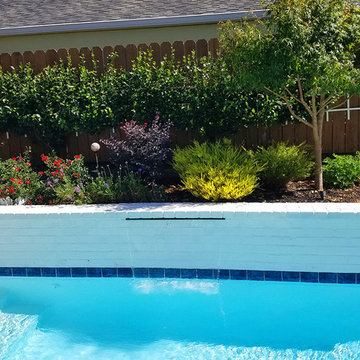 Small Yard Luxury