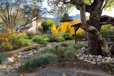 Ejemplo de jardín de secano de estilo americano extra grande en otoño en patio trasero con pérgola, exposición reducida al sol y gravilla