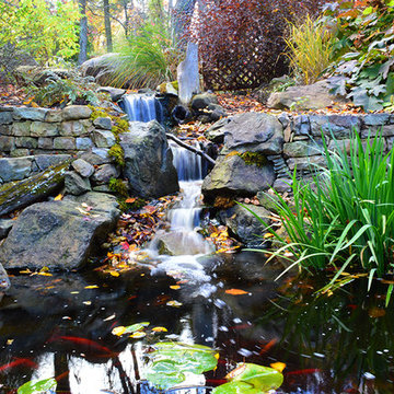 Ecosystem pond