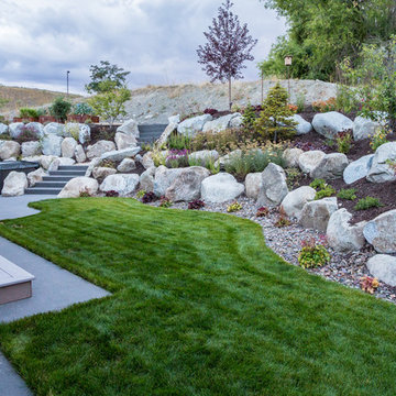 Bird-Friendly Backyard
