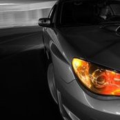 Bill Wilcox's photo