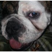 Jesse Korrell's photo