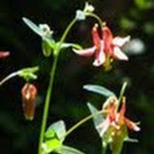 Carol Packard's photo