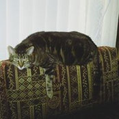 Michelle Brennan's photo