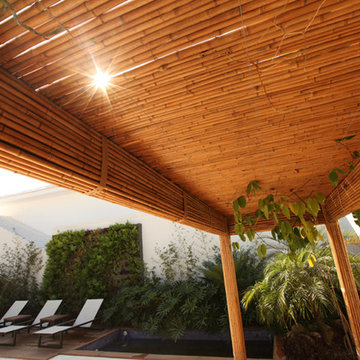 Tropical Garden