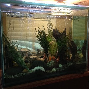 Oak trim work, fish tank