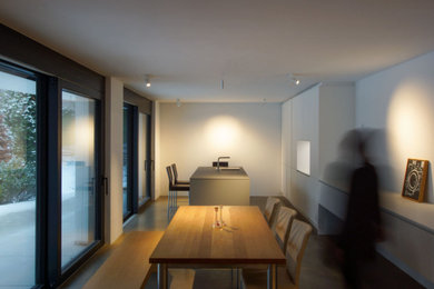 Esempio di un'ampia sala da pranzo aperta verso la cucina minimalista con pavimento in cemento, camino lineare Ribbon e pavimento grigio