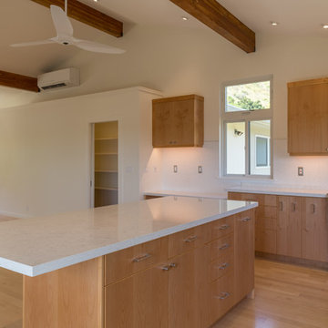 Honolulu New Build