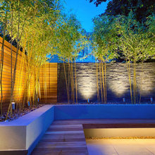 Garden Ideas