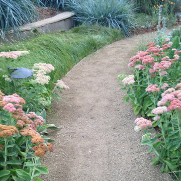 Mystical Habitat Garden