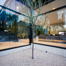 Bigfoot Door fenestration - Windows