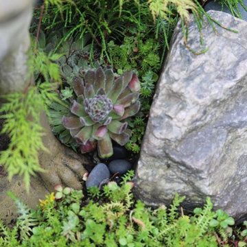 Rosebrook Garden 2017 Garden Tour