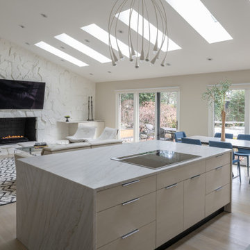 Contemporary with Neutral Colorway in Potomac, MD