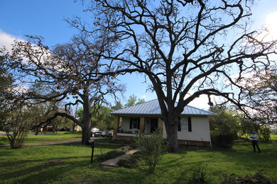 Elgin, TX Post Oak Tree Salvaging