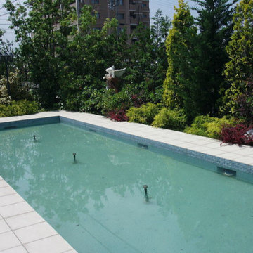 ウェディングハウスの庭