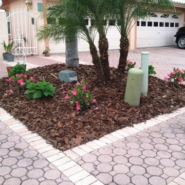 Our WORK