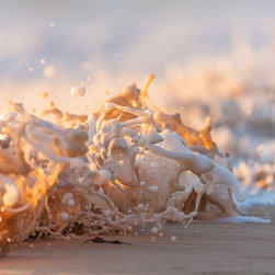 Foamy Bits by Joel Coleman - Photographs