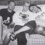 Heather Curley-Quinn's photo