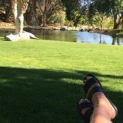Dawn Melton's photo