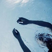 Anastasia Matveeva's photo