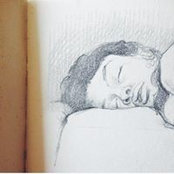 Lara Piccirillo's photo