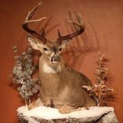 William Weaver's photo