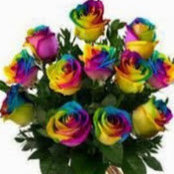 Jacqueline Simmons's photo