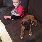 Ann Fineout's photo