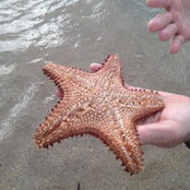 Shana Fitch's photo