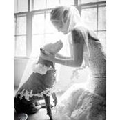 Sarah Harrison's photo