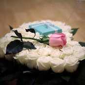 Ahmed Talha's photo