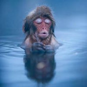 Photo de Simon Batts