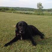 Jennifer OConnor's photo