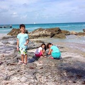 Johanna Oliel's photo