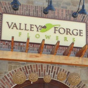 Valley Forge Flowers - Wayne, PA, US 19087