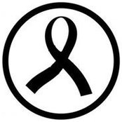 Marco Matteucci's photo