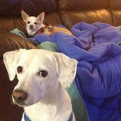 Ashley Cornett's photo