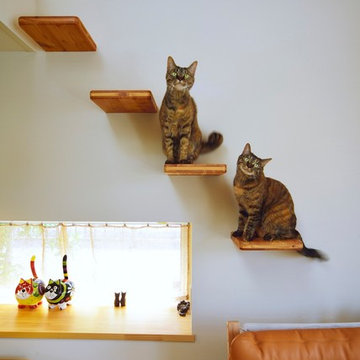 猫と暮らす家