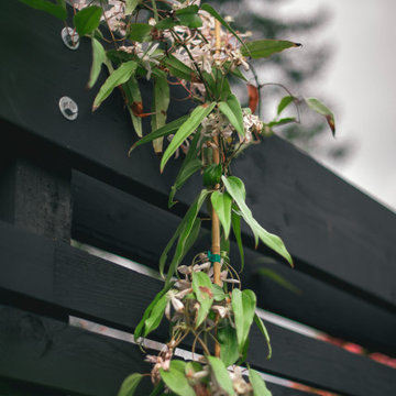 Custom Trellis