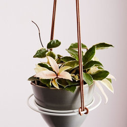 Homebody Ceramic Pot | Ivy Muse - Indoor Pots And Planters
