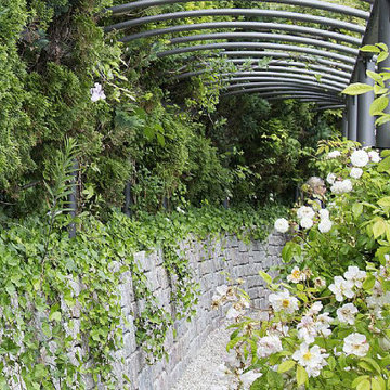 Rosenpergola