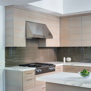 Boston, MA Contemporary White Oak Kitchen