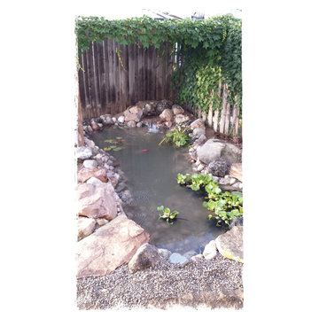 Mott Pond Rebuild