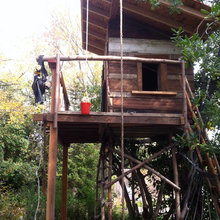 TreeHouse and such