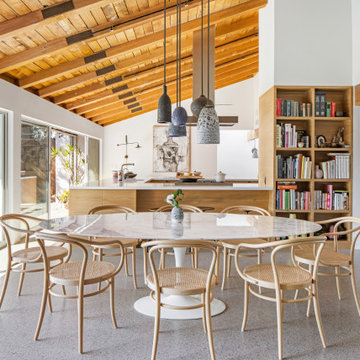 San Ysidro Mid Century Modern