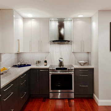 Sleek Contemporary White Kitchen, New Market, Maryland
