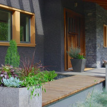 Landscape Ideas