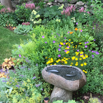 Backyard garden