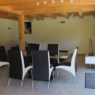 Chalet TINSS
