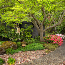 For Later Garden Ideas